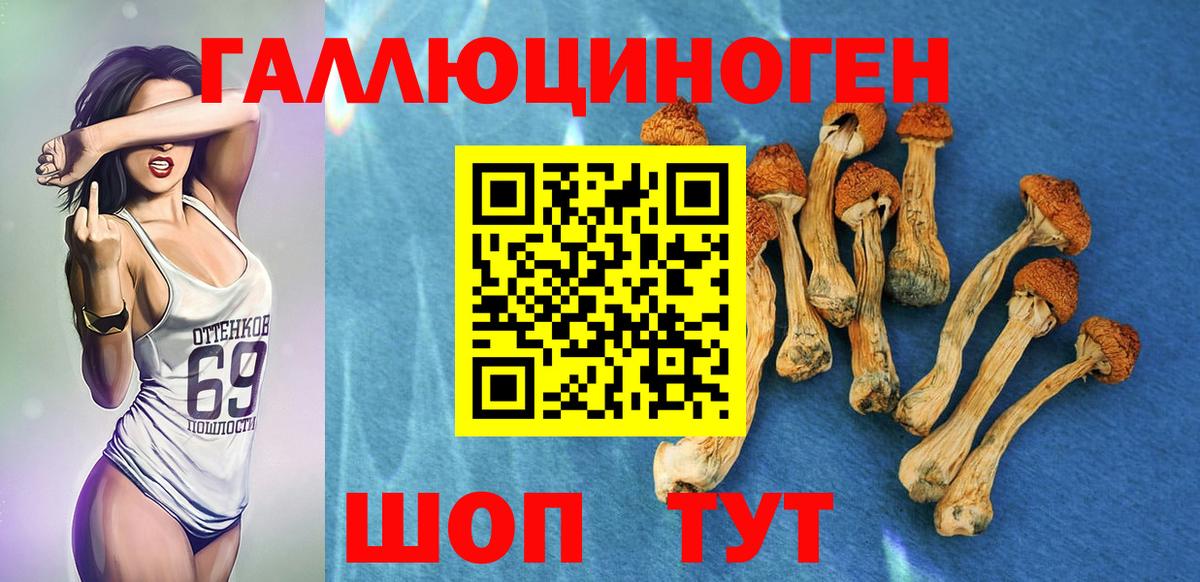 Галлюциногенные грибы Psilocybine cubensis  Вход с VPN  Татарск 